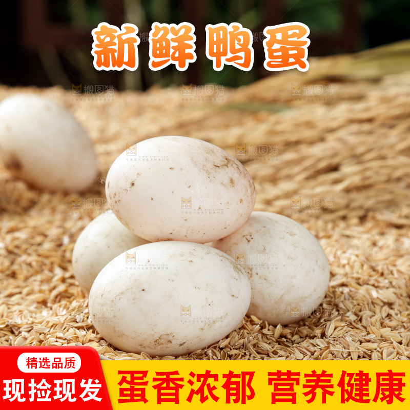 浅底上的鸭蛋
