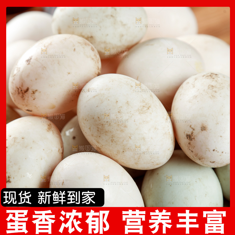 木底上的鸭蛋