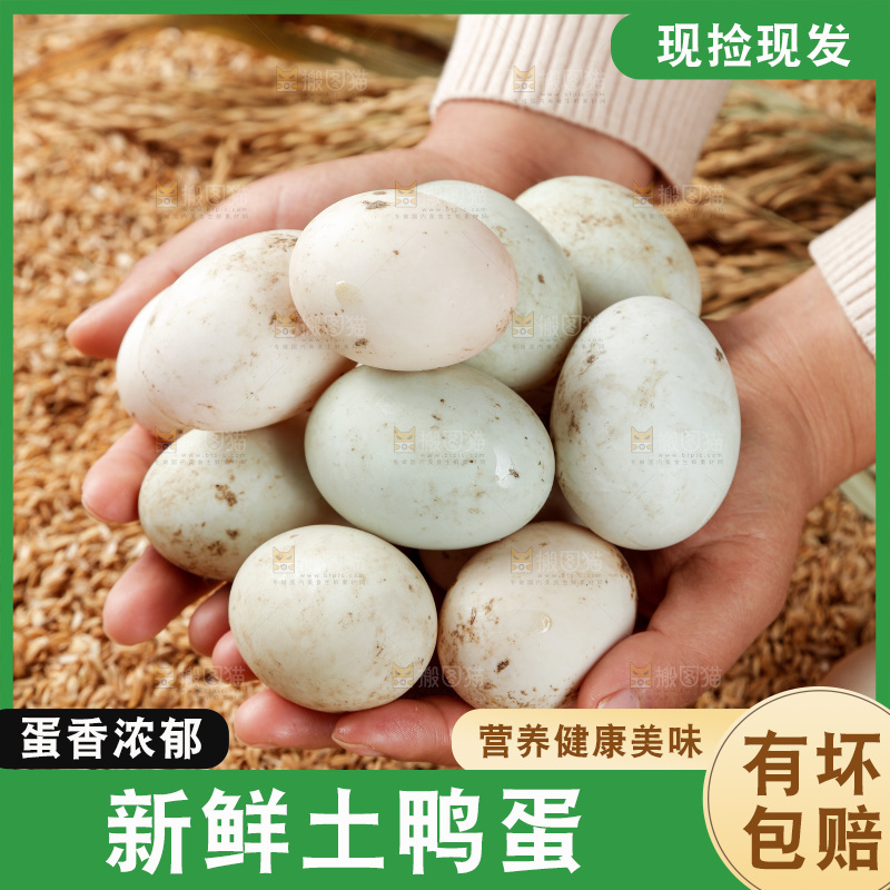浅底上的鸭蛋
