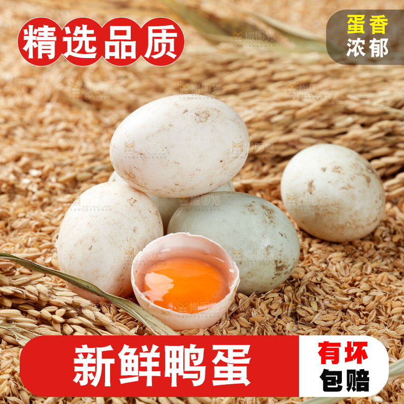 浅底上的鸭蛋