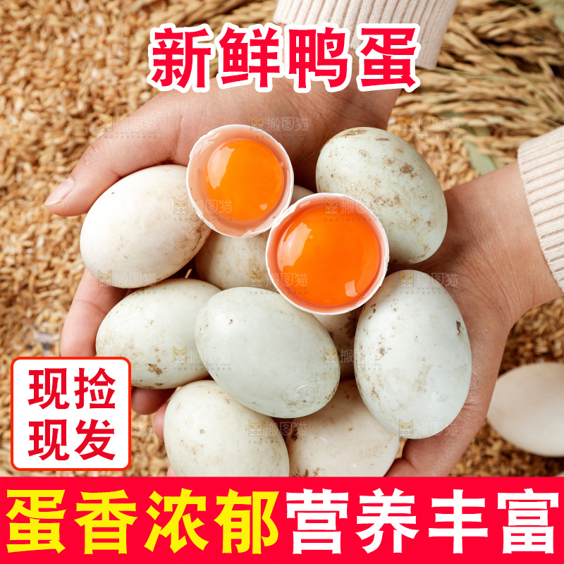 浅底上的鸭蛋