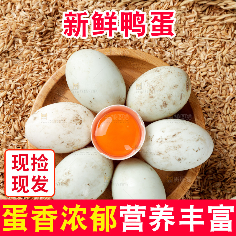 浅底上的鸭蛋