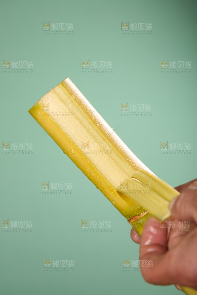 黄金甘蔗