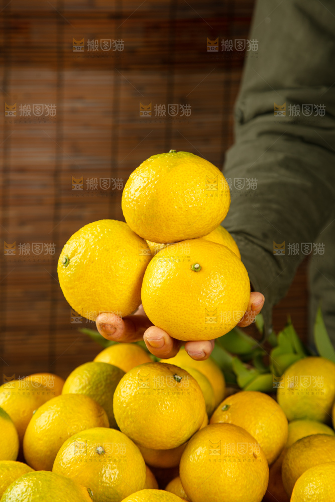深底上的桔柚