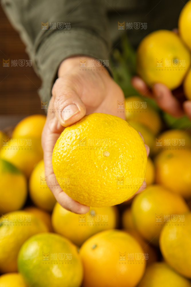 深底上的桔柚