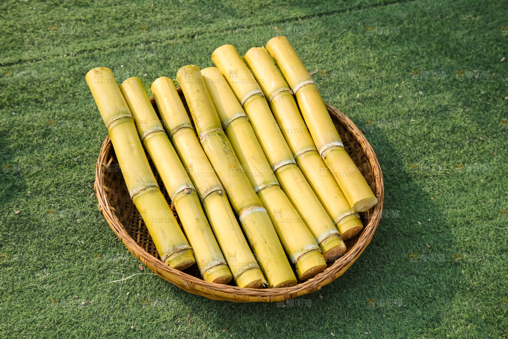 新鲜的青皮甘蔗