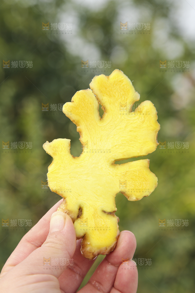 浅底上的小黄姜