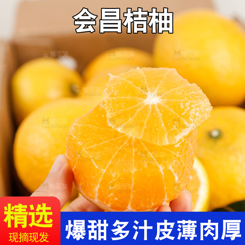 浅底上的桔柚