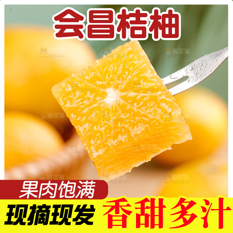 桔柚主图