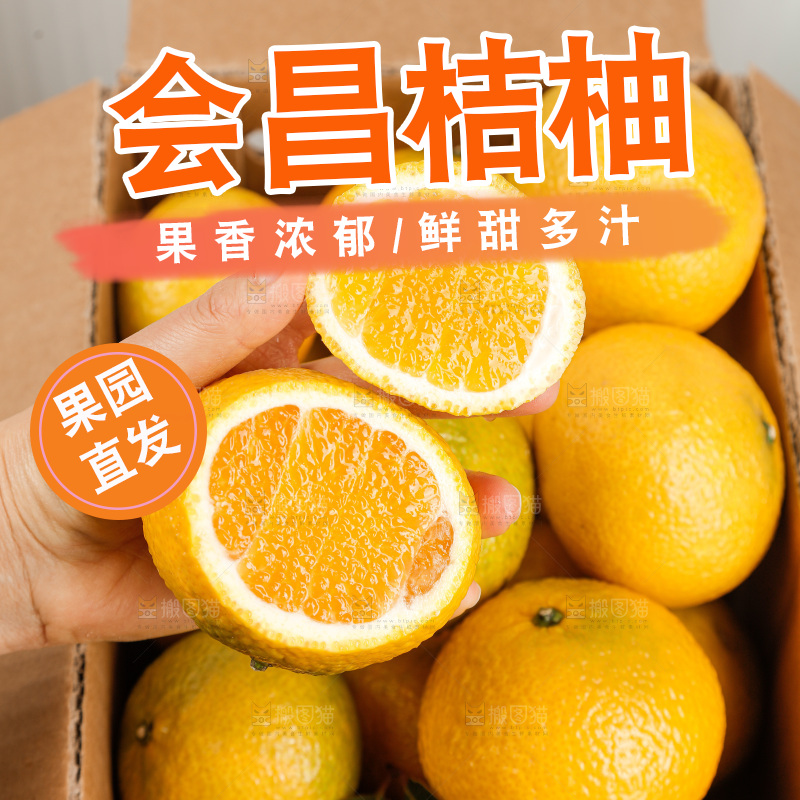 浅底上的桔柚