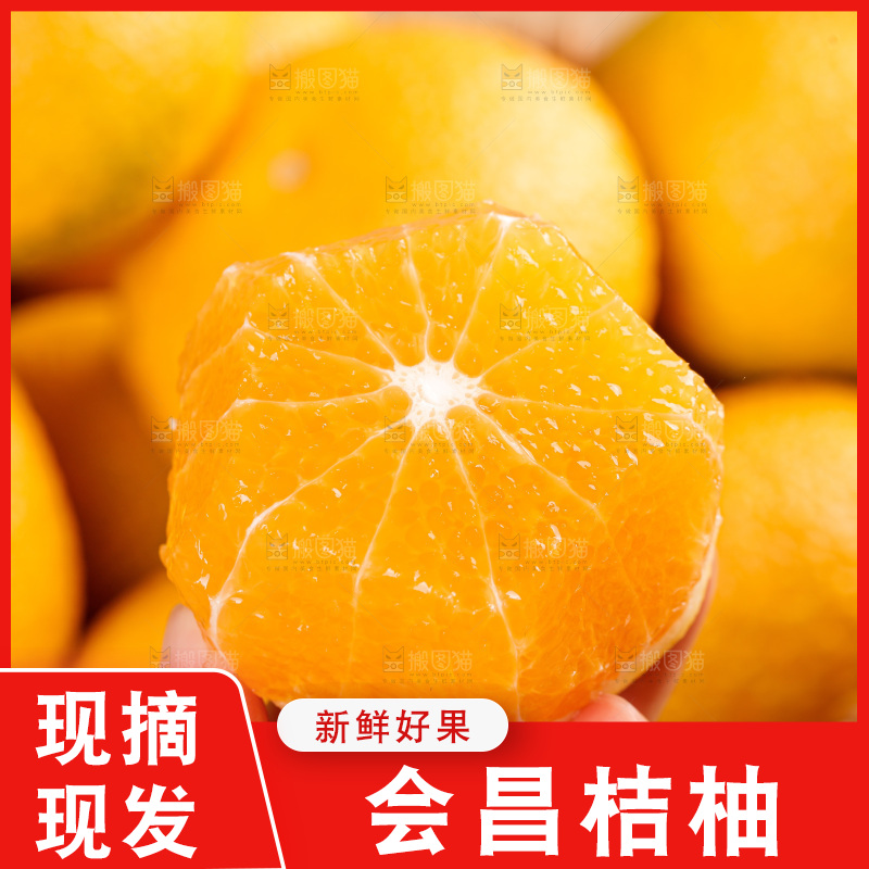 浅底上的桔柚