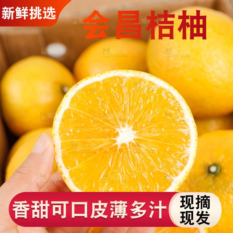 浅底上的桔柚