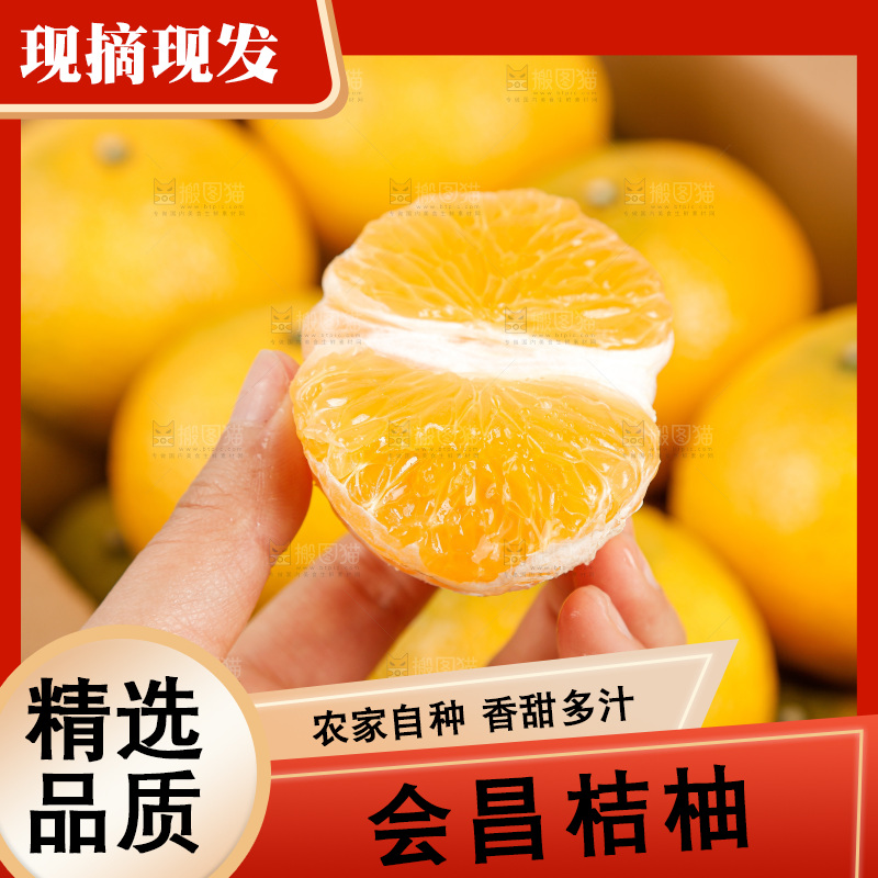 浅底上的桔柚