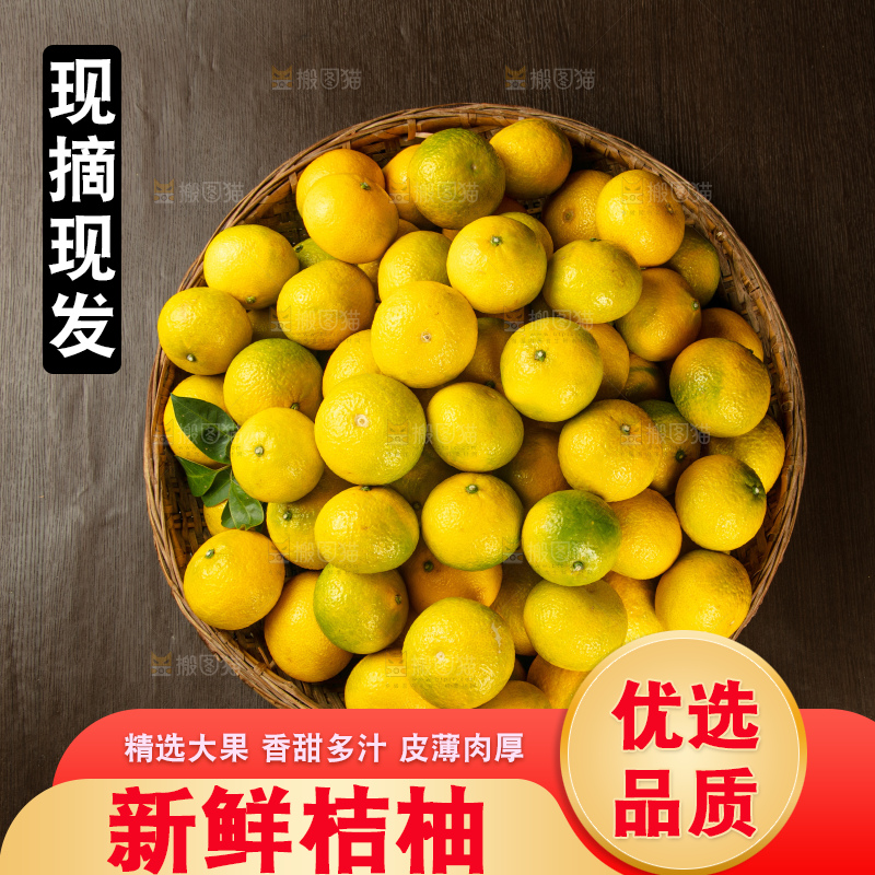 深底上的桔柚
