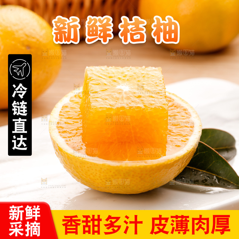桔柚主图