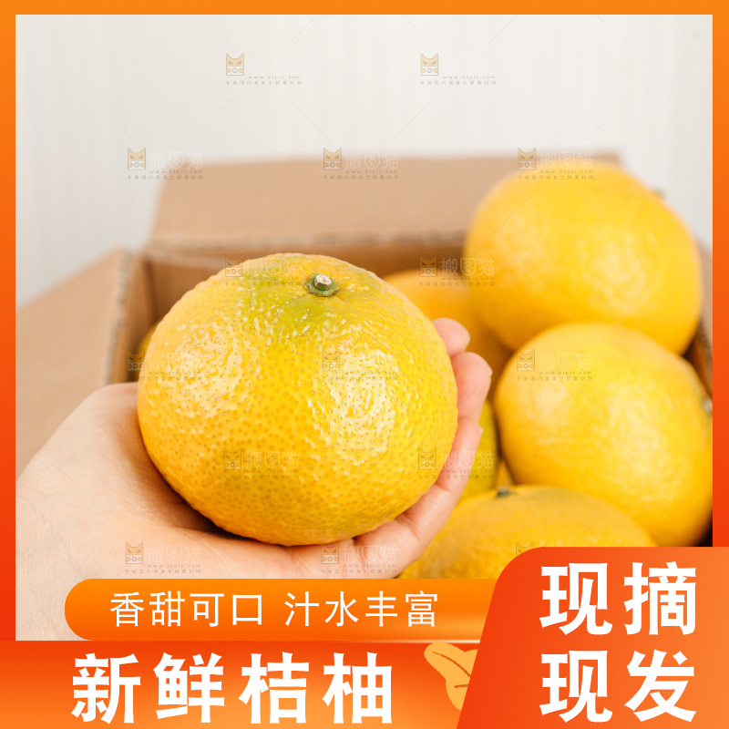 浅底上的桔柚