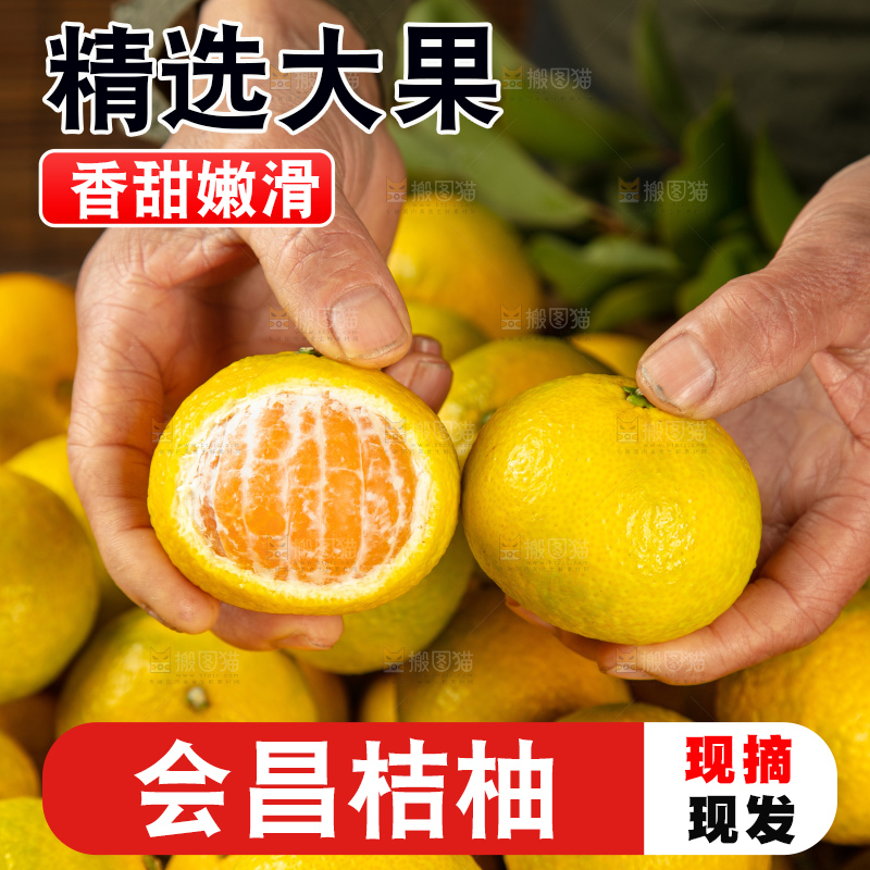 深底上的桔柚