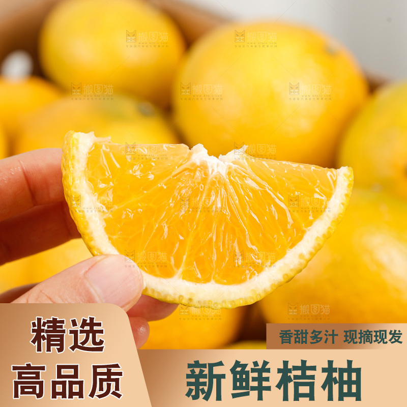 浅底上的桔柚