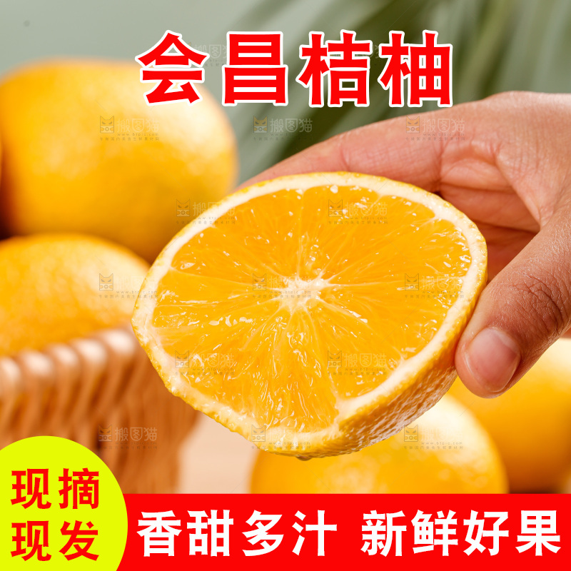 桔柚主图