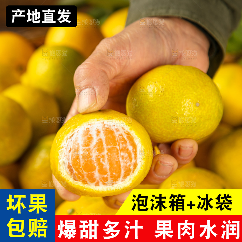 深底上的桔柚