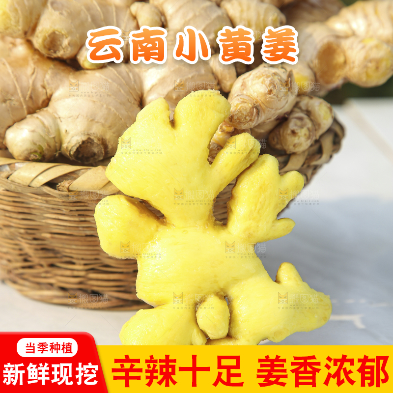 浅底上的小黄姜