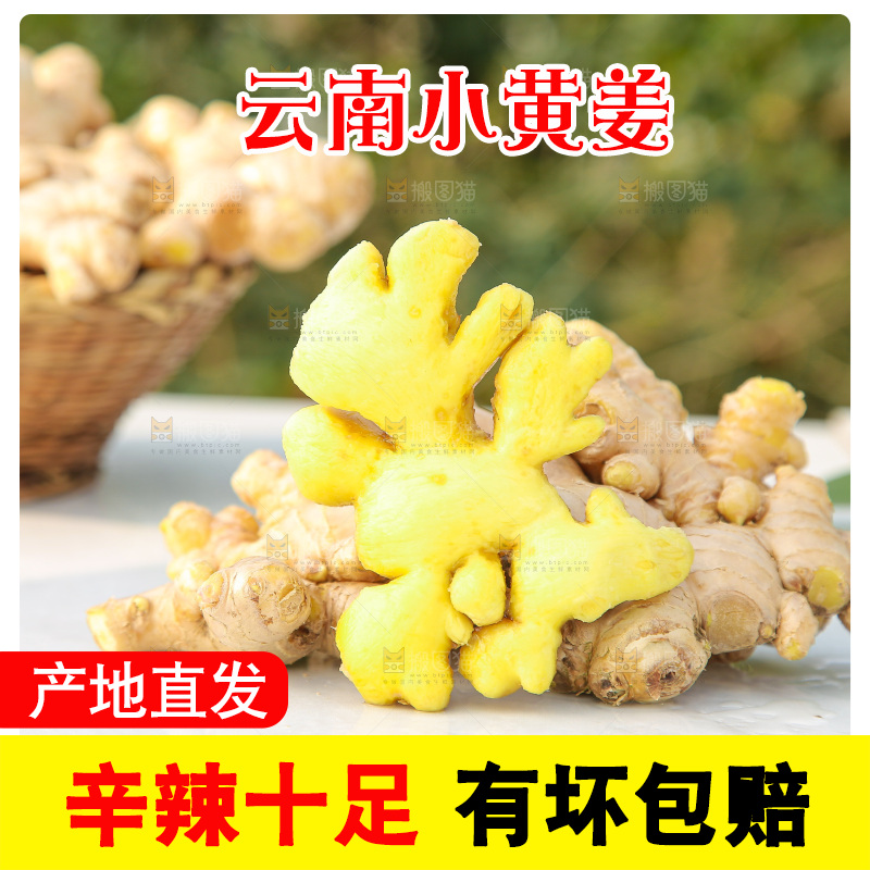 浅底上的小黄姜