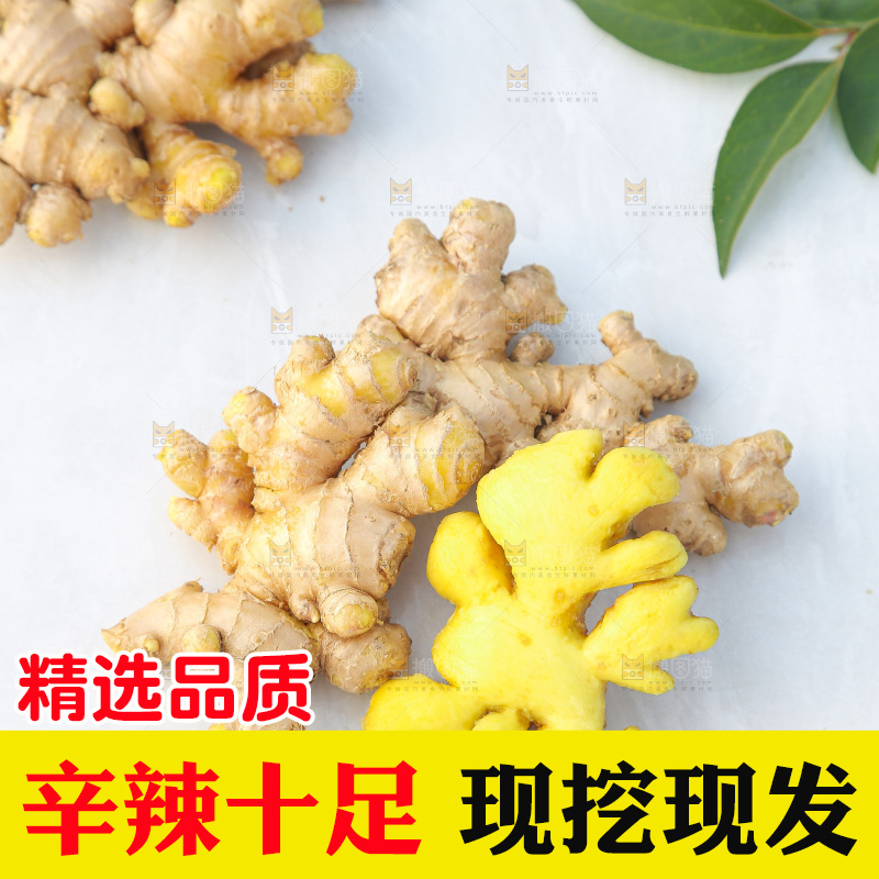浅底上的小黄姜