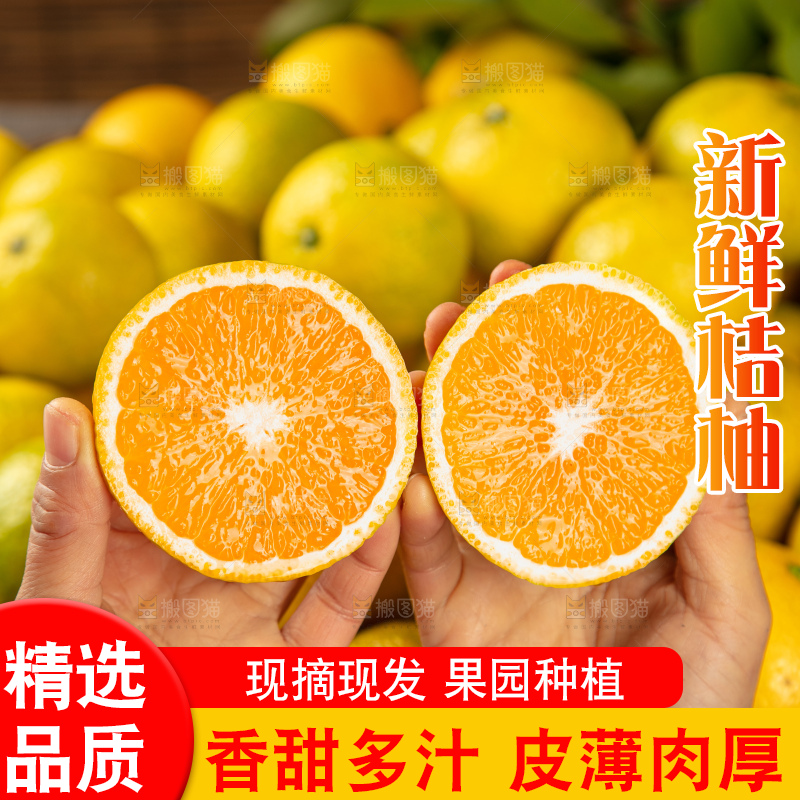 深底上的桔柚