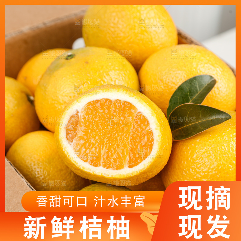 浅底上的桔柚