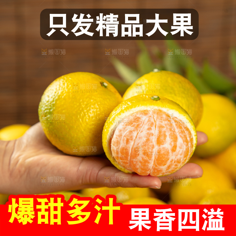 深底上的桔柚