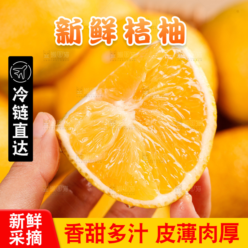 浅底上的桔柚
