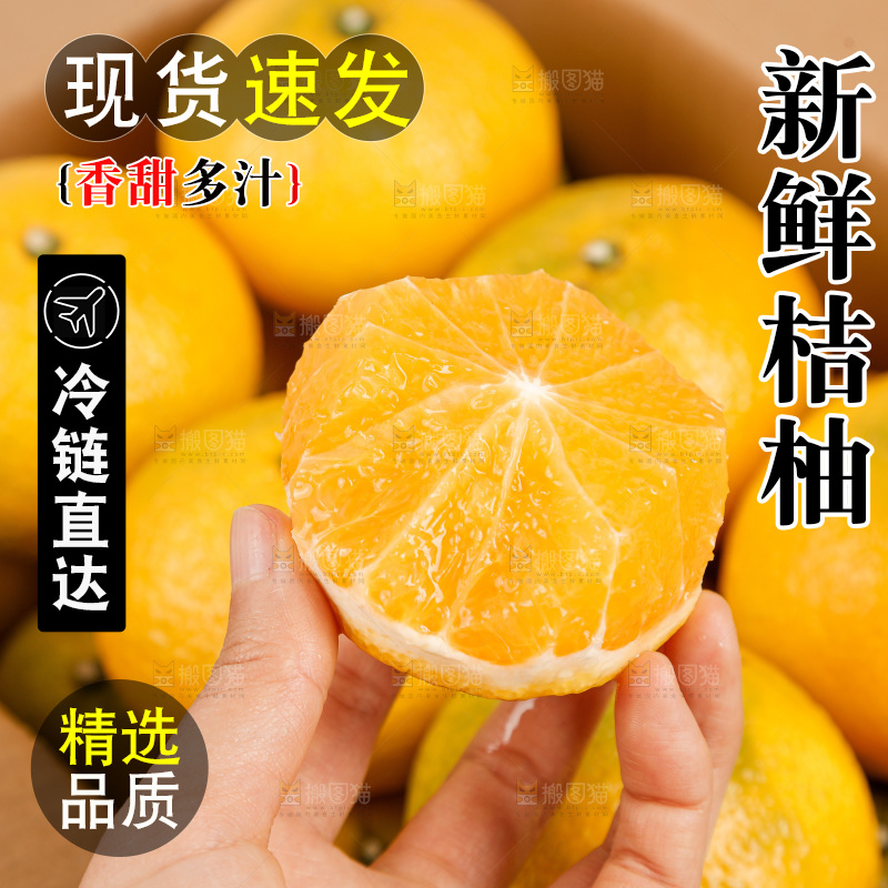 浅底上的桔柚