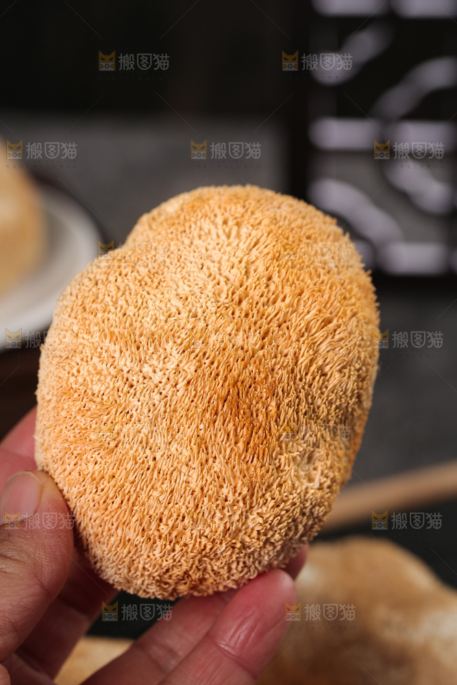 深底上的猴头菇