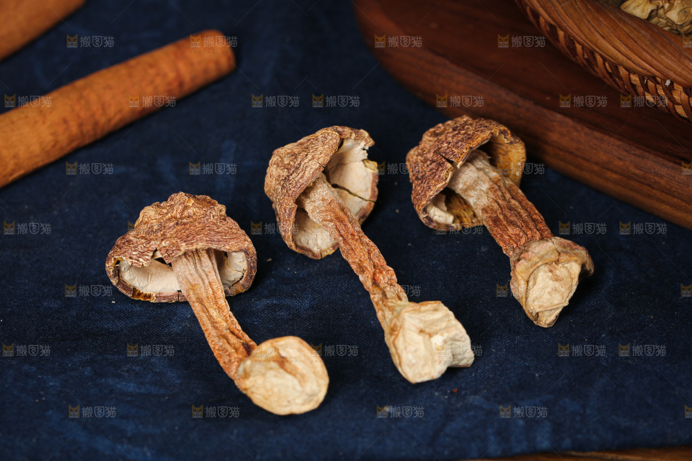 深底上的姬松茸