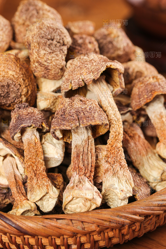 深底上的姬松茸