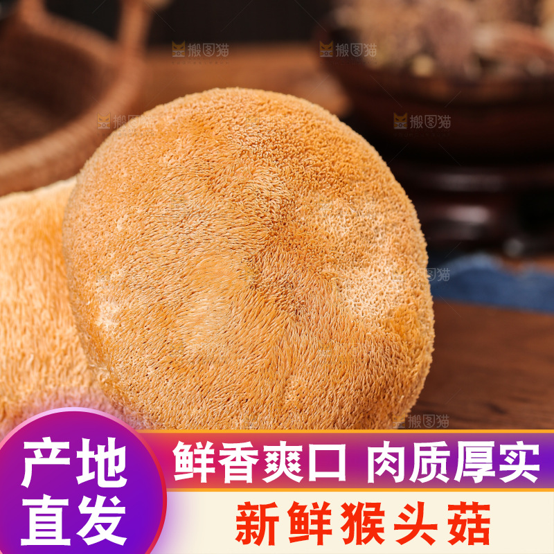 深底上的猴头菇