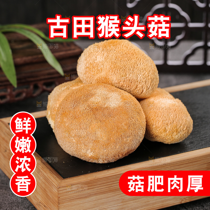 深底上的猴头菇