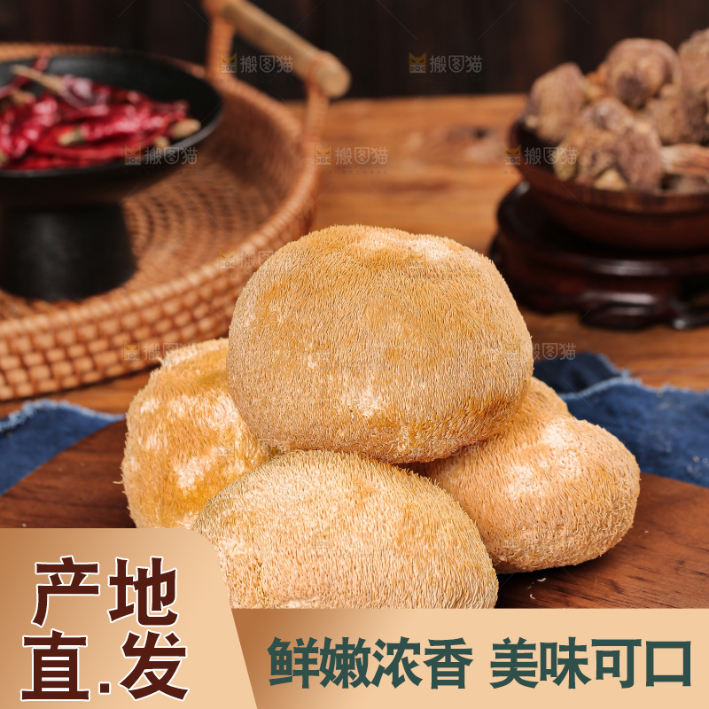 深底上的猴头菇