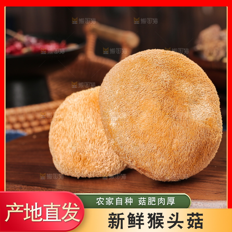 深底上的猴头菇