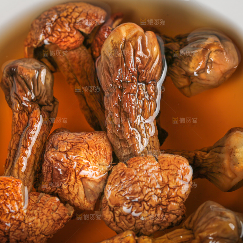深底上的姬松茸