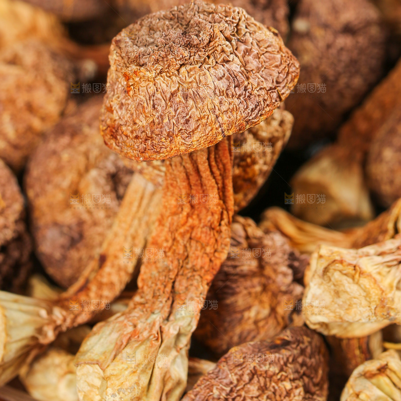 深底上的姬松茸