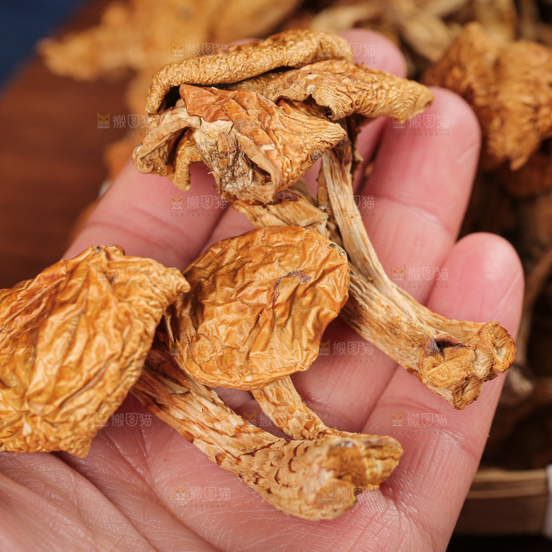 深底上的滑子菇