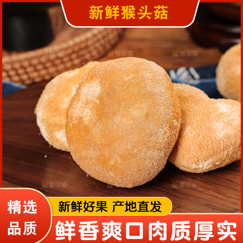 深底上的猴头菇