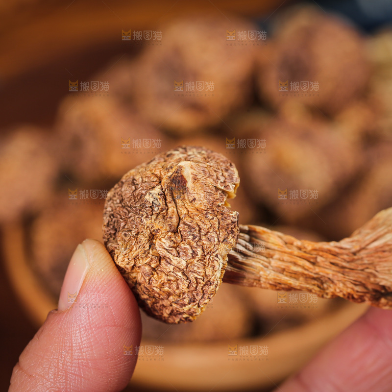 深底上的姬松茸