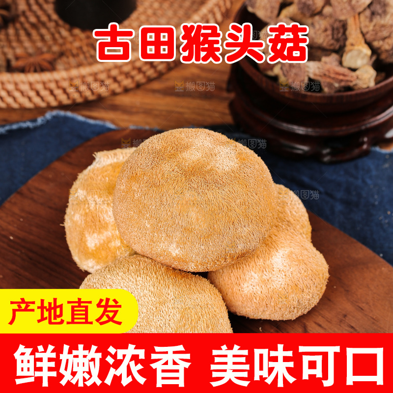 深底上的猴头菇
