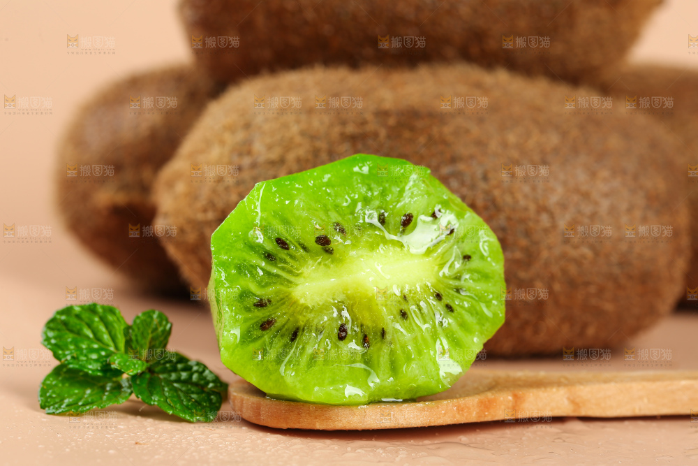浅底上的修文猕猴桃