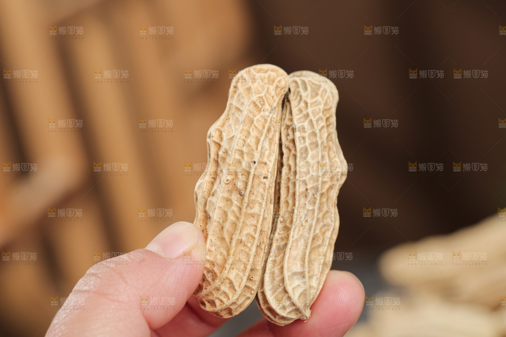深底上的黑皮花生