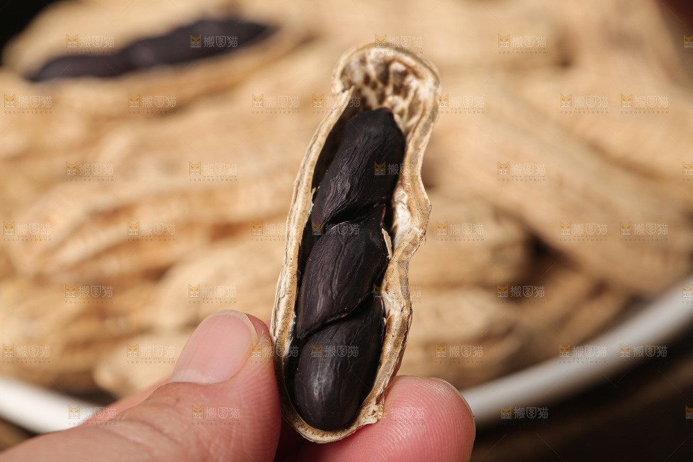 深底上的黑皮花生