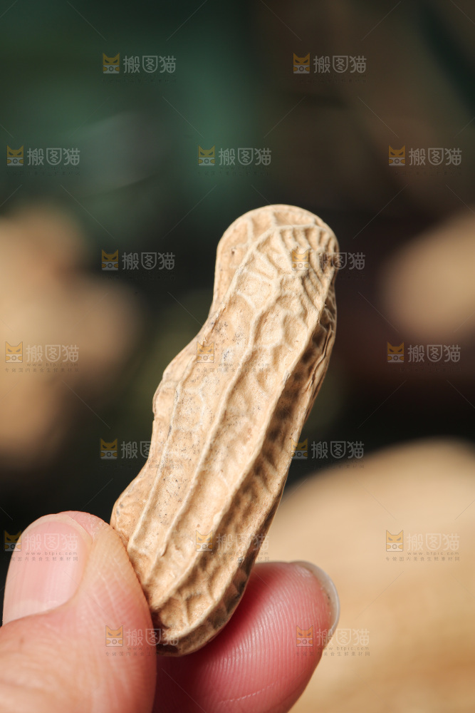深底上的黑皮花生