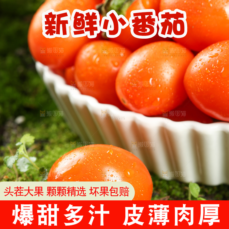 浅底上的小番茄